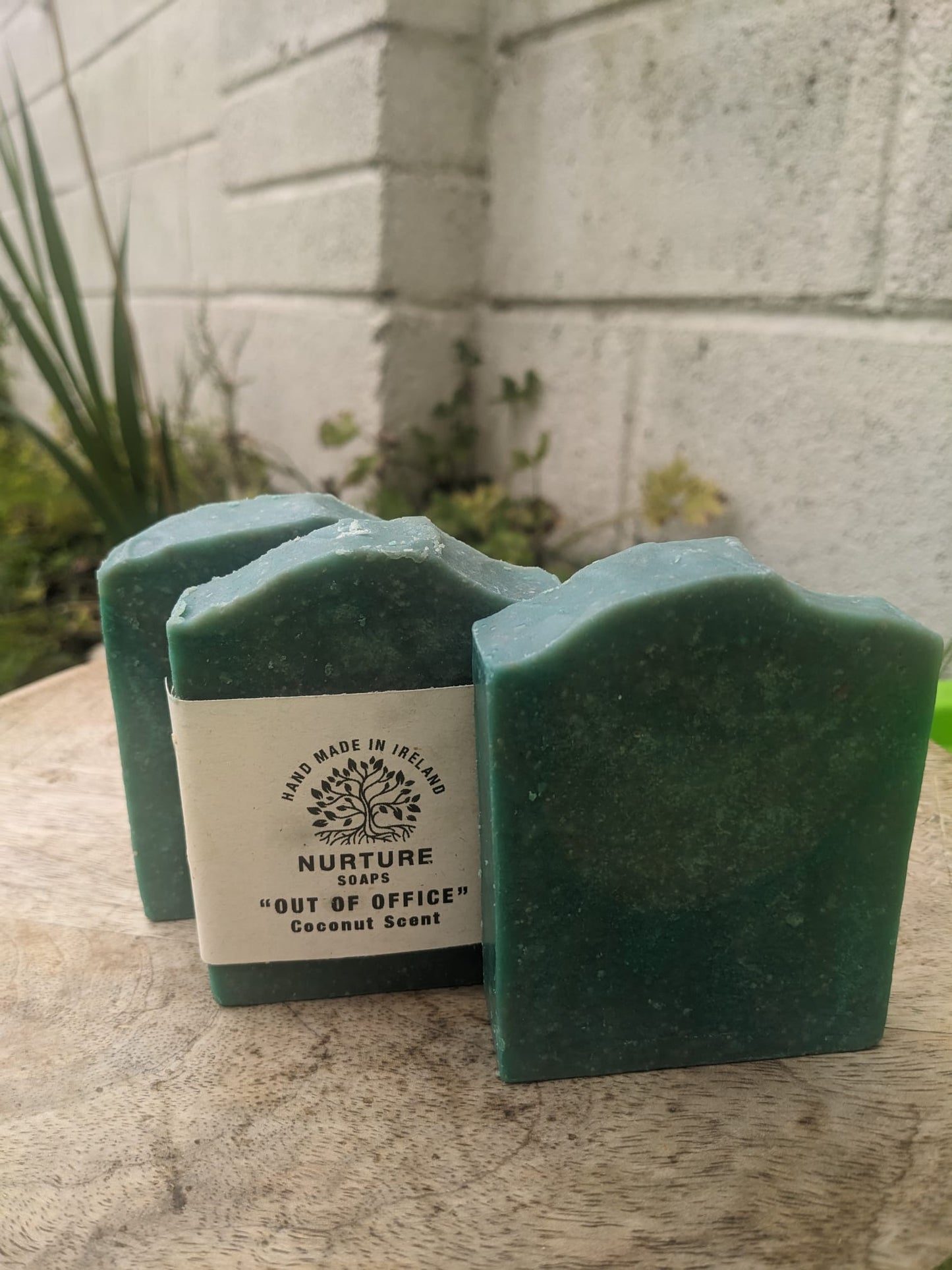 Three bars of soap with a dark green color, placed on a surface with a white wall and greenery in the background.
